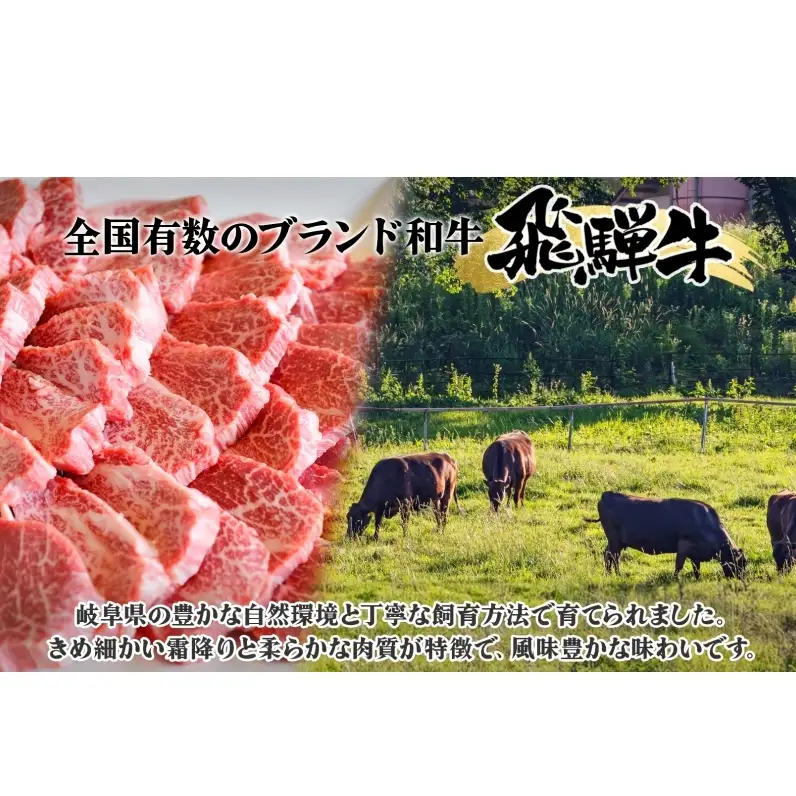 焼肉マルイ 飛騨牛 リブロースステーキ 600g 和牛 国産 国産牛 牛 牛肉 リブロース 鉄板焼き ステーキ 冷蔵 冷蔵保存 日本産 ブランド和牛 A5ランク A4ランク お取り寄せグルメ 送料無料 岐阜県 安八町
