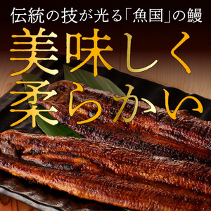 国産うなぎ蒲焼_うなぎ 国産 2尾 計約350g 新鮮 九州産 蒲焼 お土産 お祝い 昭和47年創業 秘伝のタレ 4度付け 電子レンジ フライパン 柔らかい うなぎ巻き ひつまぶし 冷凍 お取り寄せ お取り寄せグルメ 福岡県 久留米市 送料無料 〔Cu023〕