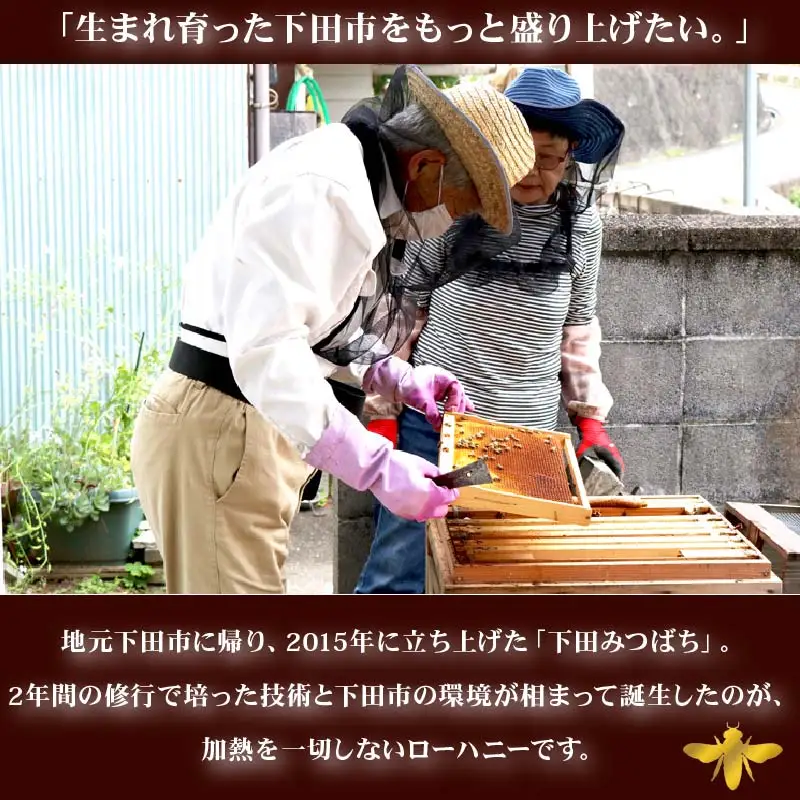 ＜下田みつばち＞下田産ローハニー(生はちみつ)2本セット　定期便　6ヶ月　3回　[下田みつばちのローハニー 蜂蜜 国産]