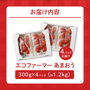 【2027年1月より順次発送】エコファーマー あまおう 約300g×4パック 計1.2kg_いちご あまおう 約300g×4パック 計1200g 甘い 美味しい 果肉 果物 スイーツ スムージー ジャム パン ヨーグルト エコファーマー 安心 冷蔵 冷凍保存 福岡県 久留米市 お取り寄せ ギフト お祝い 送料無料 〔Fi040〕