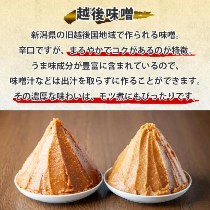 新潟県 南魚沼市 越後味噌仕立てモツ 500g × 2パック 1kg 野崎フーズ 冷凍 惣菜 簡単 調理 もつ  おかず 味付き