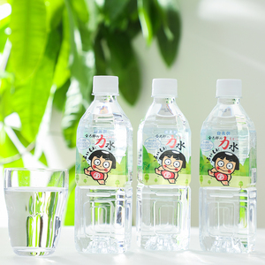 おためしAセット 南足柄 金太郎の力水 ラベルレス 500ml×48本（24本入×2箱）【 飲料水 天然水 ミネラル ウォーター 美味しい 水 お水 まとめ買い 災害 備蓄品 保存 神奈川県 南足柄市 】