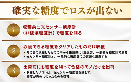 【先行予約】赤肉パリスメロン 秀品 1玉（1.5kg以上）【アールス系赤肉メロン】《糖度16度程度！1株1果採りで育てる高級メロン！》／ 果物 フルーツ 農家直送 赤肉 マスクメロン アールスメロン ギフト 贈答用 ※2026年7月上旬より順次発送予定 [aw028-a005]
