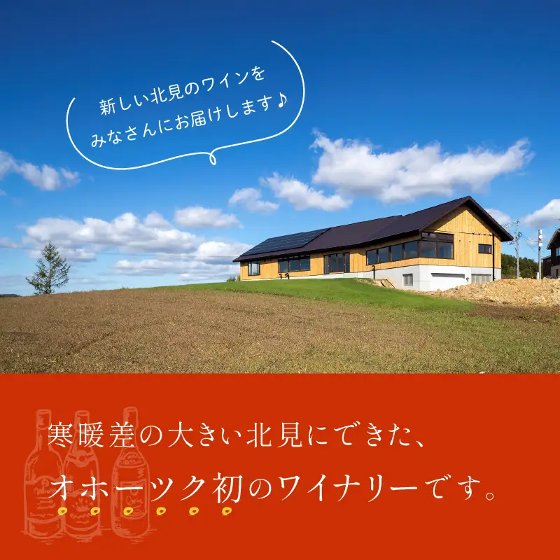 《14営業日以内に発送》キャンベル・アーリー ロゼ 2020（辛口）( 飲料 アルコール お酒 酒 シャンパン ワイン ロゼ 辛口 )【138-0012】