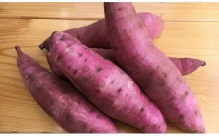 ＜2027年発送先行予約＞干し芋食べ切りセット120g×8袋  090-008