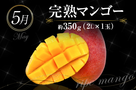 南国宮崎 大人気フルーツ定期便（年4回） 【E150】