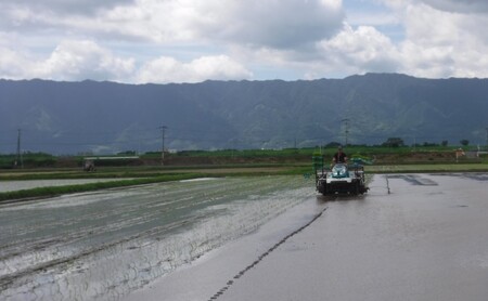 米 10kg 精米 ゆめつくし お米 福岡県産 