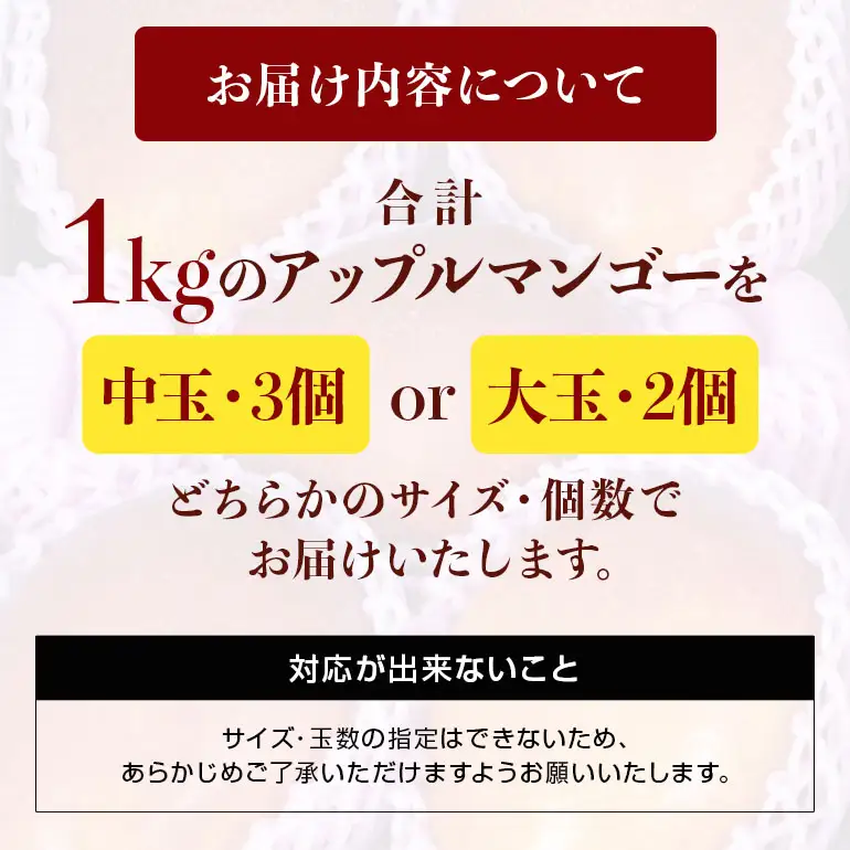 【 先行予約 2026年 発送 】 沖縄県 糸満産の「 濃厚 アップルマンゴー 」1kg オリジナル 贈答用 化粧箱入り 沖縄県産 マンゴー 完熟マンゴー 果物 くだもの フルーツ 完熟 夏 旬 沖縄 産地直送 農家直送 甘い 糸満市 (生産者 ゆいぐくるマンゴー) 33-2