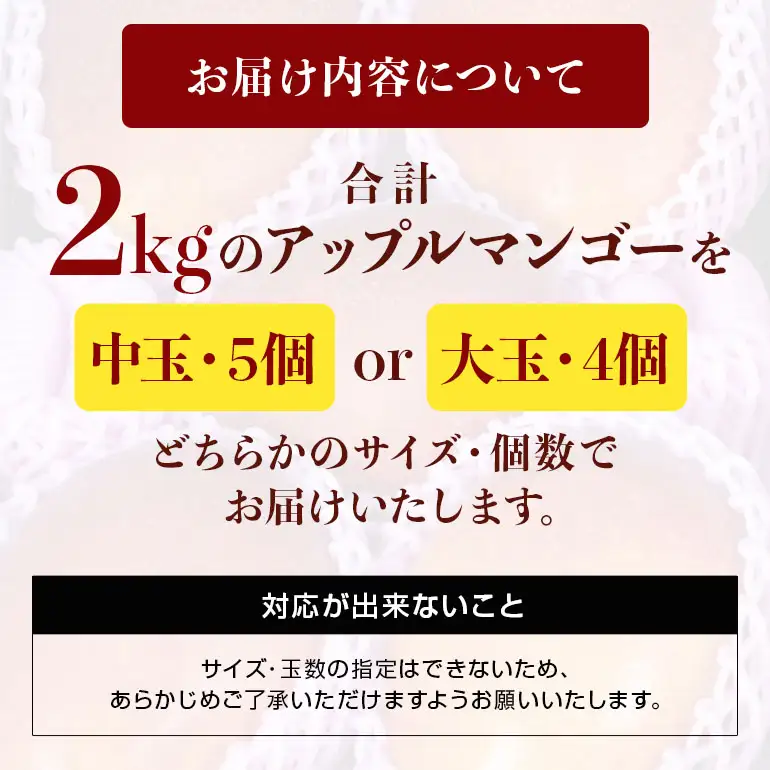 【 先行予約 2026年 発送 】 沖縄県 糸満産の「 濃厚 アップルマンゴー 」2kg オリジナル 贈答用 化粧箱入り 沖縄県産 マンゴー 完熟マンゴー 果物 くだもの フルーツ 完熟 夏 旬 沖縄 産地直送 農家直送 甘い 糸満市 (生産者 ゆいぐくるマンゴー) 33-1
