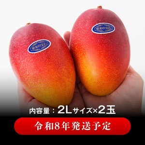 【令和8年発送】宮崎県産完熟マンゴー「果実の宝石」プレミアム 2L×2玉 果物 フルーツ マンゴー