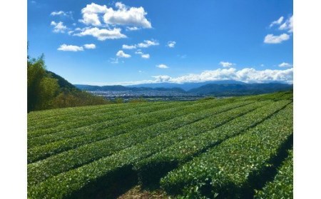 クラフトビール お茶を使ったクラフトビール「HANOCHA（はのちゃ）」煎茶ゴールデンエール（330ml×3本） /  【 お茶  煎茶 009-34】