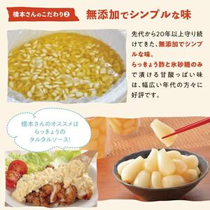 橋本さんちの砂丘らっきょう甘酢漬け 800g (瓶)