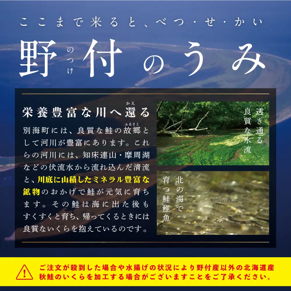 本場「北海道」 いくら醤油漬け 1kg 野付 別海町 いくら