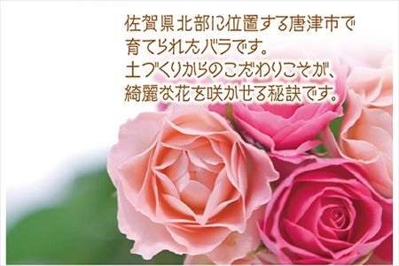 バラ(薔薇)の花束 赤・ピンク系15本入り 贈答 プレゼント 贈り物へ