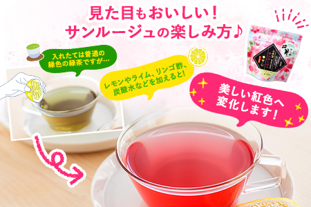  色が変わる日本茶 サンルージュ 5袋セット (1袋10バッグ入り) ティーバッグ 《60日以内に出荷予定(土日祝除く)》熊本県 大津町産 株式会社 瀬川製茶 新品種 希少 ピンク 緑茶