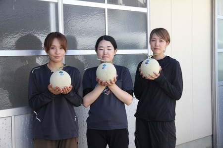 【8月下旬以降発送】季節限定！甘～い あおぞら農産「アールスヴェルダメロン」A4107 