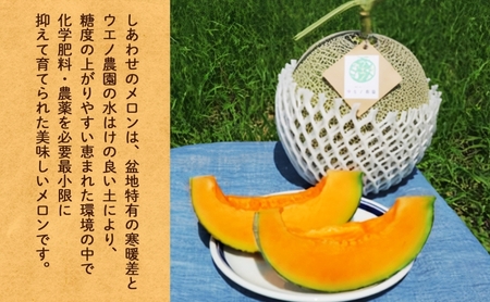 ＜2026年発送＞ふらの産 しあわせのメロン 赤肉 大玉 2玉 計4kg メロン 富良野メロン