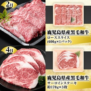 ＜定期便・全6回(偶数月)＞鹿児島県産黒毛和牛・黒豚定期便(総量約5.2kg)国産 九州産 鹿児島産 牛肉 国産牛 豚肉 サーロイン ステーキ 切り落とし 切落し カルビ 焼肉 焼き肉 焼肉セット 黒豚 バラ肉 すき焼き しゃぶしゃぶ 頒布会【スターゼン】akn042-28