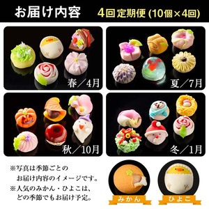 i537 ＜4回定期便＞季節の上生菓子セット(10個×4回・計40個) お菓子 和菓子 生菓子 定期便 四季 ギフト 贈り物 和スイーツ お祝い 個包装 冷凍 【リッチモン松元】