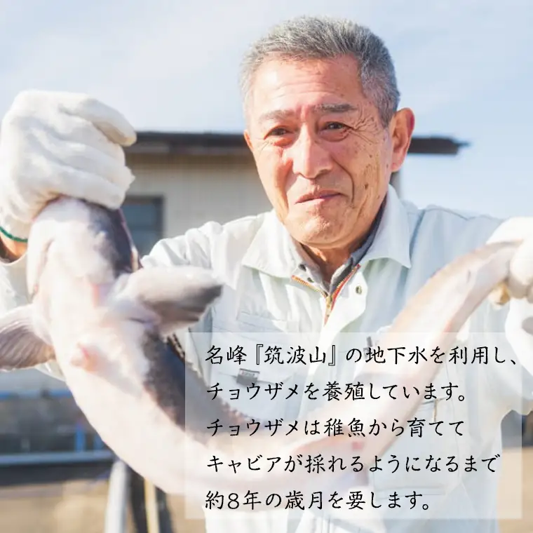 つくばスタージョン キャビア 20g×1  高級食材 記念日 誕生日 世界三大珍味 国産キャビア 茨城県産 茨城[AI005sa]