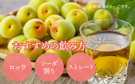 神渡 きぬごし梅酒 720ml (箱入) 
