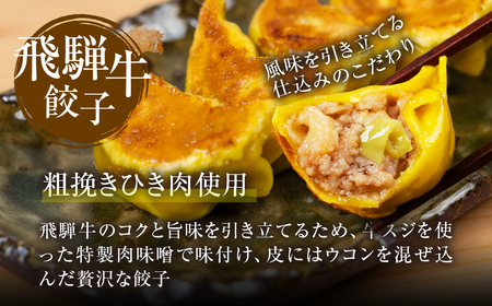 飛騨牛 のリッチな風味が口中に広がる！「飛騨牛餃子 30個」 餃子 ぎょうざ ギョウザ 飛騨牛 牛肉 肉 和牛 国産 冷凍 お取り寄せ [mt1582] 10000円 1万円