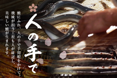 熟練の技が冴える！うなぎの柳澤 流水桜うなぎの蒲焼き3尾(計510g) うなぎ 鰻 ウナギ 国産 鹿児島県産 九州産 蒲焼き 冷凍 うな重 ひつまぶし b2-016