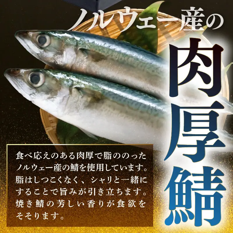 越前名物『焼き鯖寿司』1本 8貫入《取り分けしやすい・お手軽 カット済・美味しいと大人気！》／ おすし 鯖 押し寿司 あわら [aw050-a006]