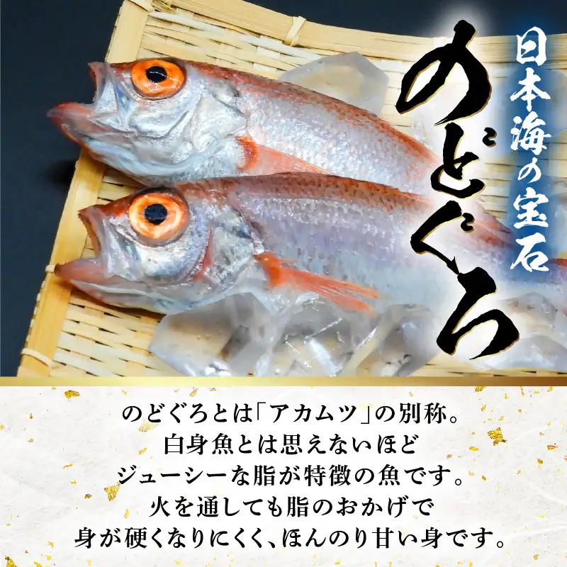 越前 あわら『のどぐろ 柿の葉寿司』1本 6貫入《取り分けしやすい・お手軽・美味しいと大人気！》／ おすし 柿の葉 [aw050-a004]