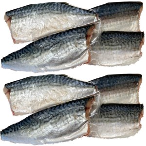 塩さばフィレ8枚入(真空パック入)◇｜鯖 鯖 鯖 鯖 鯖