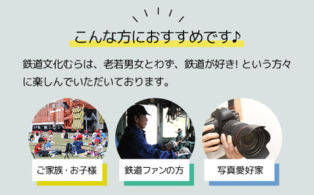 入園招待券3枚セット ANAE001