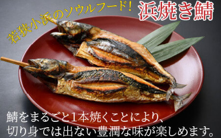 若狭小浜 桝屋の浜焼き鯖2本入り [BFAO008] 【配送不可地域：離島】 