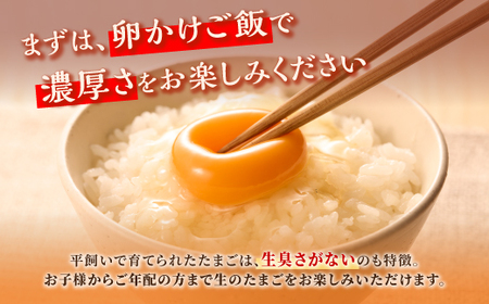 たかはしさんの新鮮たまご30個_I010-0533