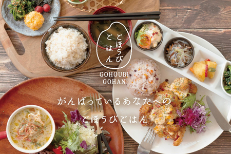 米 無洗米 11穀満足ごはん ごほうびごはん 250g×4 計 1kg [DANBO*DELI 宮崎県 日向市 452060022]