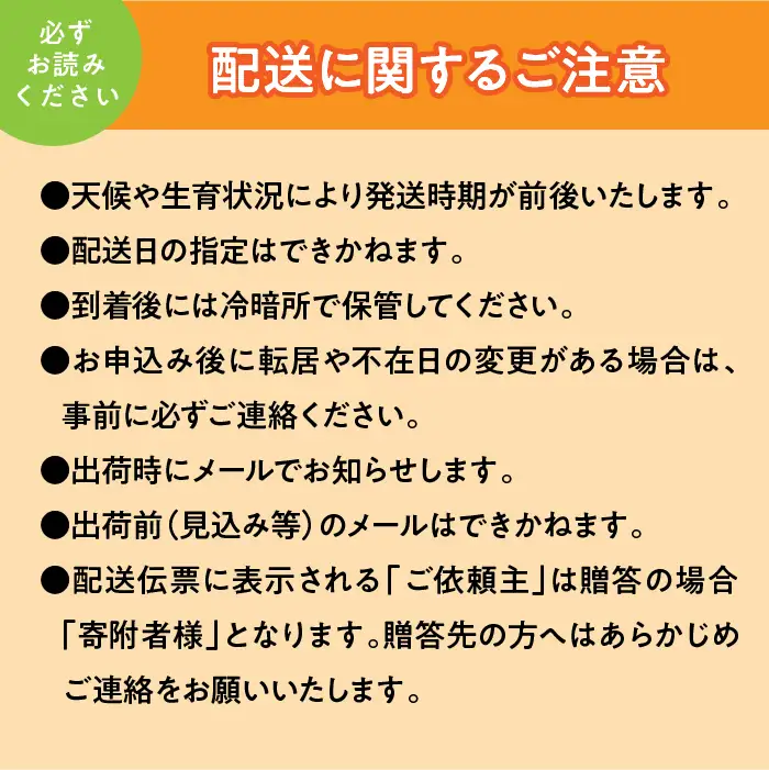 ＜2026年発送先行予約＞すもも「サマーエンジェル」10～13玉入り×2箱約3ｋｇ ALPAA015