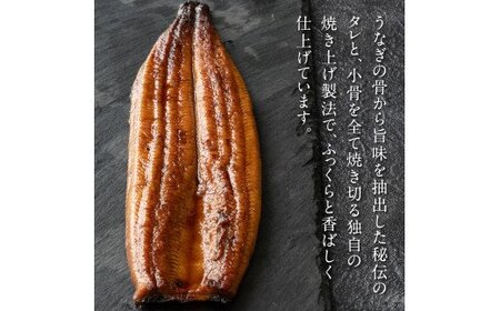 “土佐料理司”三代目天の鰻蒲焼2尾セット（ウナギ・たれセット）〈高知市共通返礼品〉