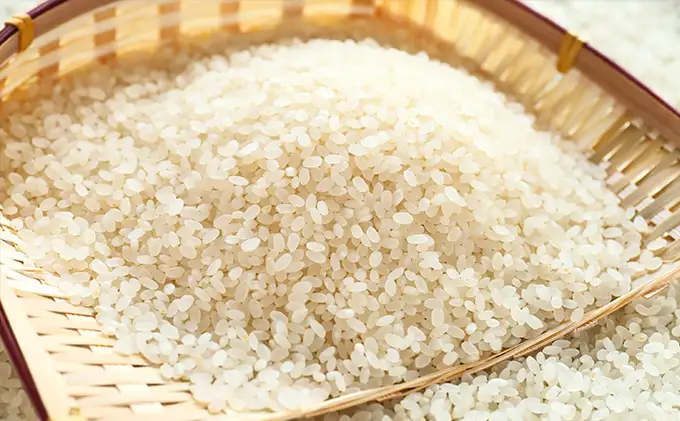 天水の恵米「コシヒカリ・彩のきずな」白米5kgずつ食べくらべセット お米