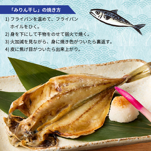 松浦・潮風のたより( 魚 サバ イカ アジ カマス 干物 一夜干し 詰め合わせ セット大容量)【B0-150】