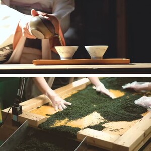 不老のしずく(特上玉緑茶)【A7-055】