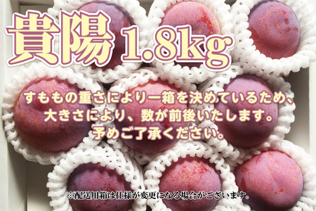＜2026年発送先行予約＞南アルプス天空舎のすもも貴陽 約1.8kg ALPAB042