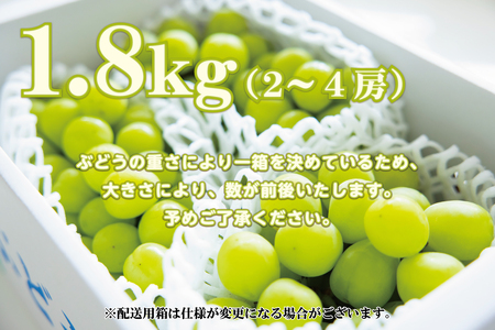 ＜2026年発送先行予約＞南アルプス天空舎のシャインマスカット 約1.8kg ALPAB043