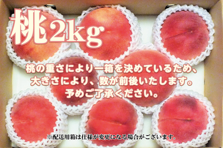 ＜2026年発送先行予約＞南アルプス天空舎のもも 2kg ALPAB014