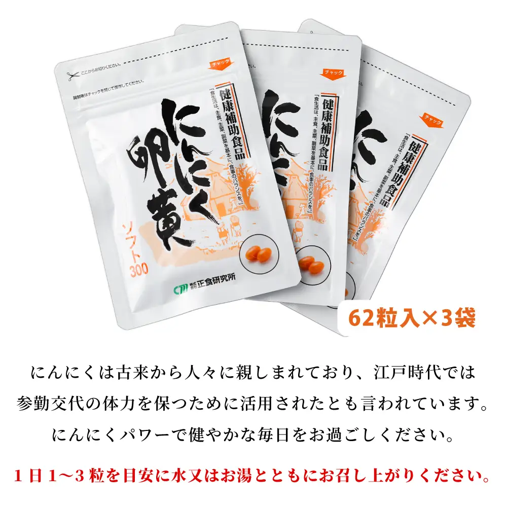 【健康補助食品】にんにく卵黄ソフト300（62粒入り×3袋）  健康 美容 食品 ニンニク 正食研究所 鹿児島 南さつま市 