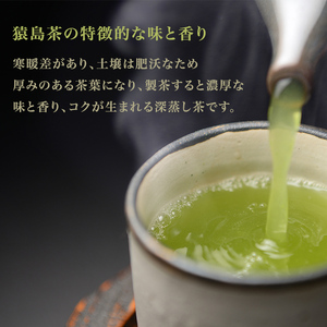 ジェラート 12個セット 食べ比べ ジェラート3種類