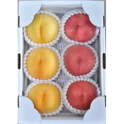 No.1522【限定50セット】★園主セレクト 5種類の吟壌桃 食べ比べコース★【全4回発送】【2026年発送】