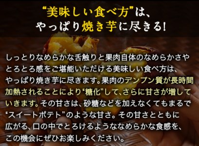 芋紅はるか約5kg有限会社ニシムラ 