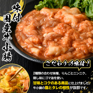 ＼テレビで紹介されました！／国産牛ホルモン2種セット(合計2kg) 国産 特産品 牛 小腸 味付 パック 詰め合わせ 詰合せ 炒め物 鍋 モツ おかず お弁当【スターゼン】akn031-01