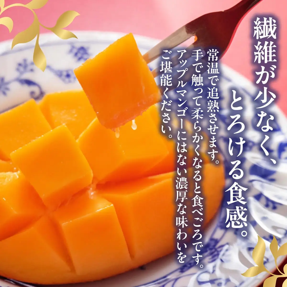 ＜優品＞幻のキーツマンゴー約1kg（化粧箱）