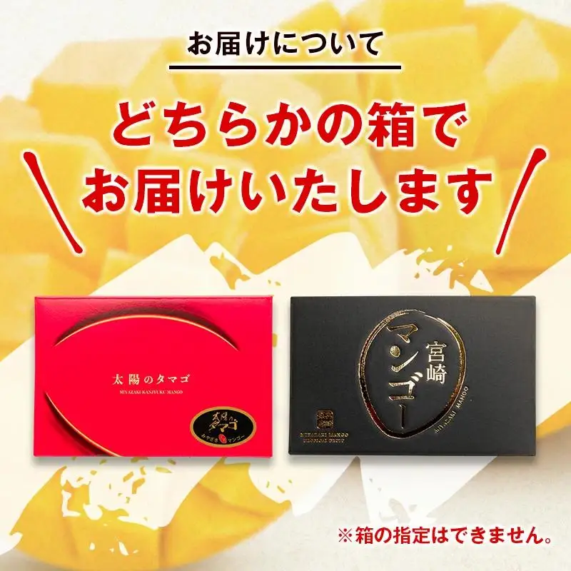 【先行予約】最高級ブランド『太陽のタマゴ』2L×2個【糖度15度以上】宮崎県西都市産完熟マンゴー ＜18-6a＞2026年発送