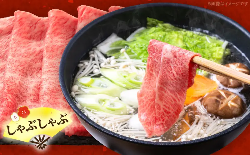 宮崎牛ウデ すき焼き・しゃぶしゃぶ用 500g